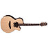 DSF48C NEX Santa Fe Natural Gloss + Housse Takamine
