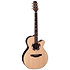 DSF48C NEX Santa Fe Natural Gloss + Housse Takamine