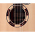 DSF48C NEX Santa Fe Natural Gloss + Housse Takamine