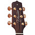 DSF48C NEX Santa Fe Natural Gloss + Housse Takamine