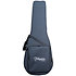 DSF48C-LH NEX Santa Fe Natural Gloss + Housse Takamine