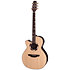 DSF48C-LH NEX Santa Fe Natural Gloss + Housse Takamine