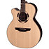 DSF48C-LH NEX Santa Fe Natural Gloss + Housse Takamine