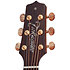 DSF48C-LH NEX Santa Fe Natural Gloss + Housse Takamine