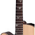 DSF48C-LH NEX Santa Fe Natural Gloss + Housse Takamine