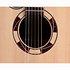 DSF48C-LH NEX Santa Fe Natural Gloss + Housse Takamine