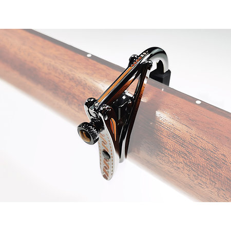 C1Z Capo Rosette Édition Limitée Shubb