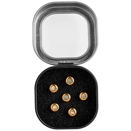 Martin Guitars 18APP0014 Set 6 Chevilles Liquid Metal Gold Paua