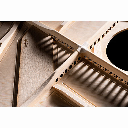 GPCE Inception Maple + Étui Martin Guitars