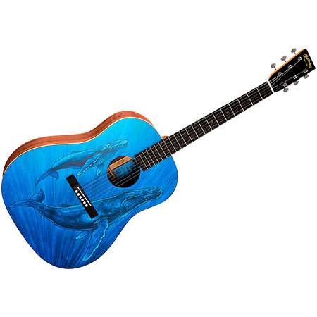 DSS Biosphere II Martin Guitars
