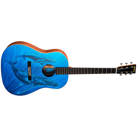 DSS Biosphere II Martin Guitars