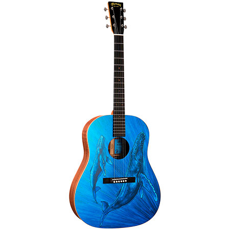 DSS Biosphere II Martin Guitars