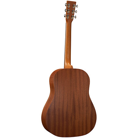 DSS Biosphere II Martin Guitars