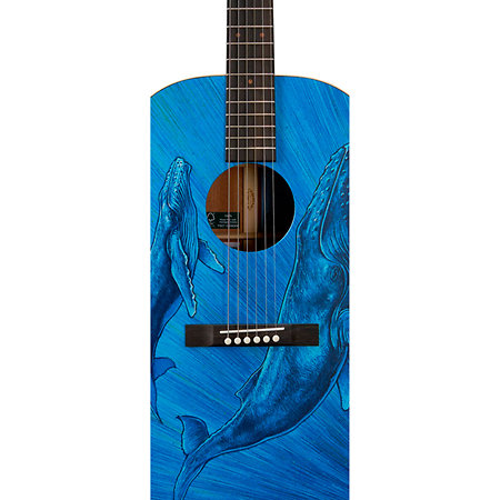 DSS Biosphere II Martin Guitars