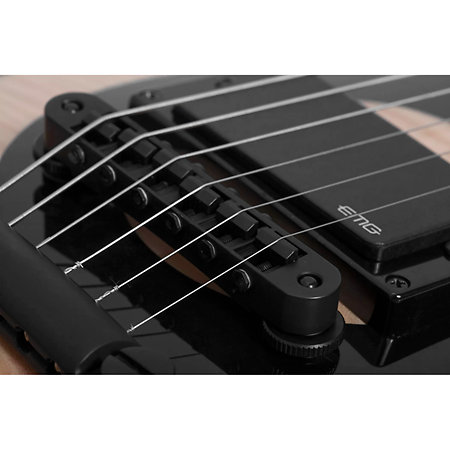 Wylde Audio Odin Grail Raw Top Schecter
