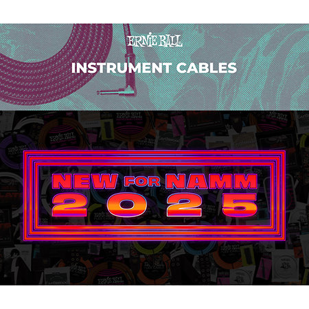 6473 Silent Instrument Cable Straight / Straight Jack 20' Black 6m Ernie Ball