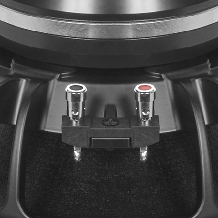 15TBW100 8 Ohm Push Buttons B&C Speakers