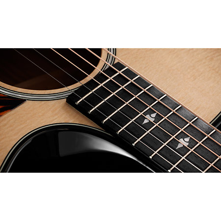 Builder’s Edition 514ce Natural + Etui Taylor