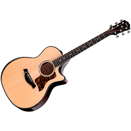 Builder’s Edition 514ce Natural + Etui Taylor
