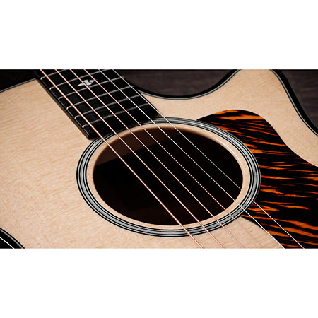 Builder’s Edition 514ce Natural + Etui Taylor