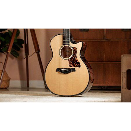 Builder’s Edition 514ce Natural + Etui Taylor