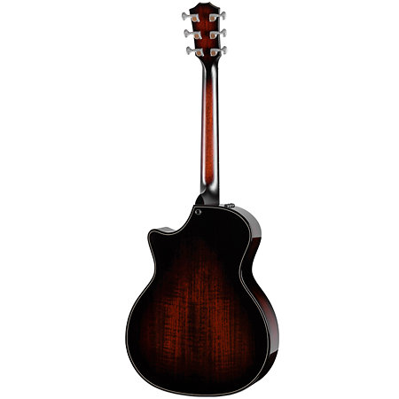 Builder’s Edition 514ce Natural + Etui Taylor