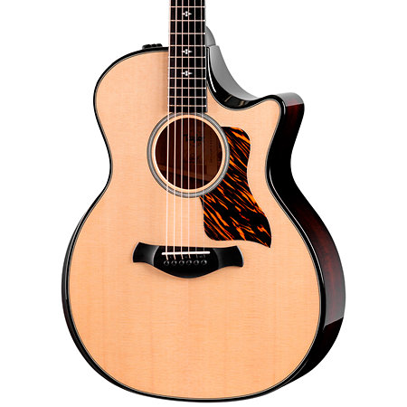 Builder’s Edition 514ce Natural + Etui Taylor