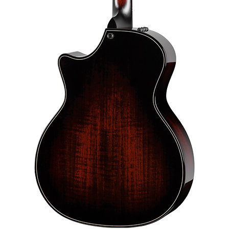 Builder’s Edition 514ce Natural + Etui Taylor