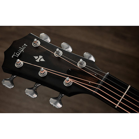 Builder’s Edition 524ce Mahogany + Etui Taylor