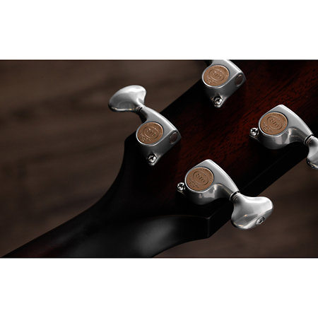 Builder’s Edition 524ce Mahogany + Etui Taylor