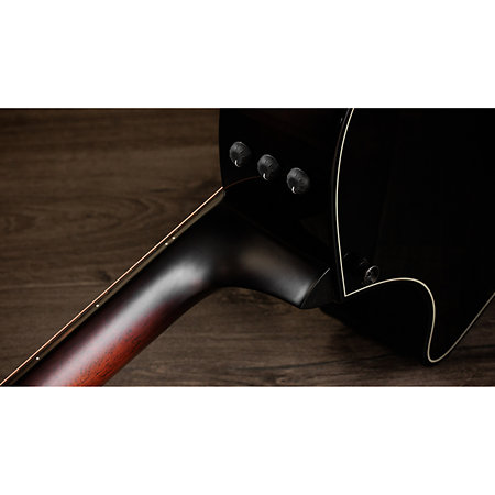 Builder’s Edition 524ce Mahogany + Etui Taylor