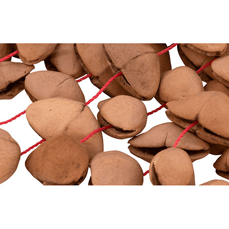 PBSHKENL Kenari Nut Shaker Pearl