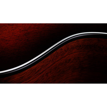 322ce + Etui Taylor