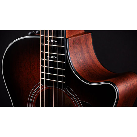 322ce + Etui Taylor