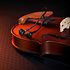 BD DT73 IE Beyerdynamic