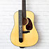 A0109 Paisley Denim Martin Guitars