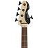 MB Gloxy Black Panther 5 RW Black + Housse Markbass