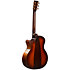 GPCE Inception Maple + Étui Martin Guitars