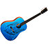 DSS Biosphere II Martin Guitars