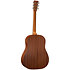 DSS Biosphere II Martin Guitars