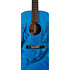 DSS Biosphere II Martin Guitars