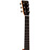 DSS Biosphere II Martin Guitars