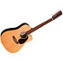 D-X2E 12 Sitka/Brazilian Rw HPL + Housse Martin Guitars