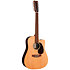 D-X2E 12 Sitka/Brazilian Rw HPL + Housse Martin Guitars