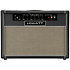 T40/20C 2x12 Hiwatt