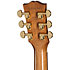 J-45 Standard Palissandre Rosewood Burst + Etui Gibson