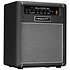 Bulldog 30C Hiwatt