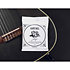 3829 Tim Henson Signature Classical Strings Medium Ernie Ball