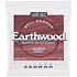 2346 Earthwood Bell Bronze medium light 12-54 Ernie Ball