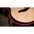 Builder’s Edition 514ce Natural + Etui Taylor